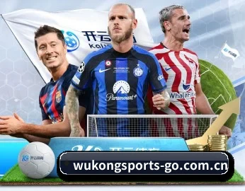了解平台 - 体育资讯内容服务 - WukongSports
