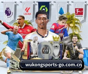 悟空体育官网 APP | WukongSports